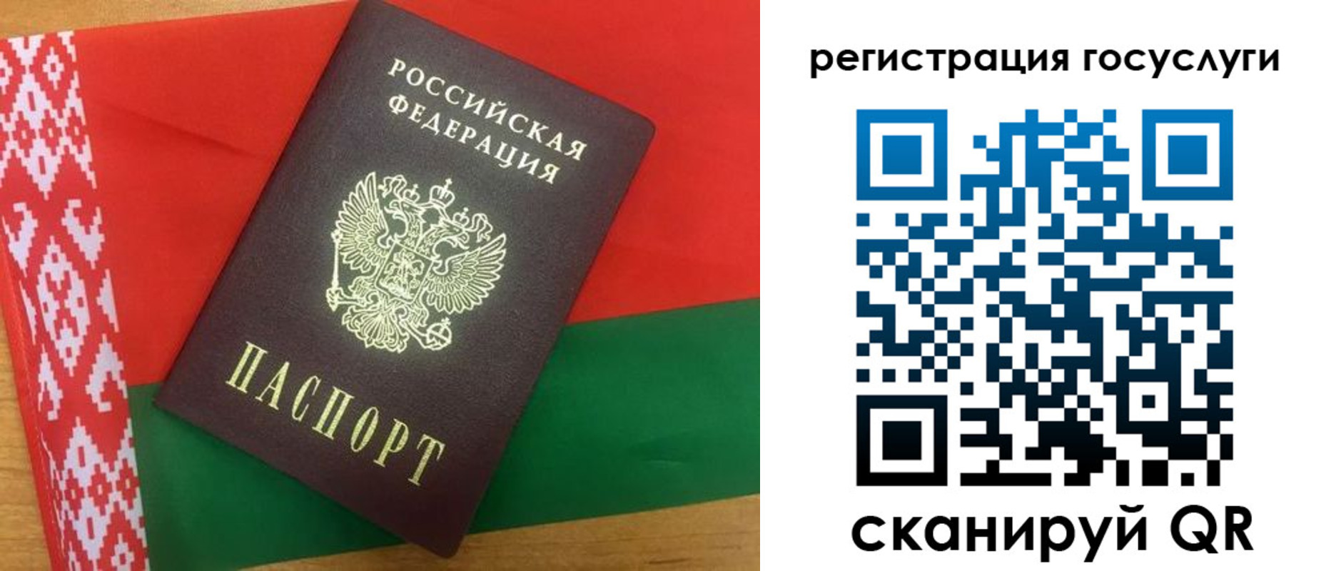 временная регистрация поиск в Курской области
